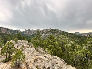 Needles in Custer State Park, SD